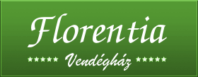FlashMozitHelyettesítőKép